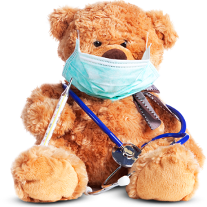 bear